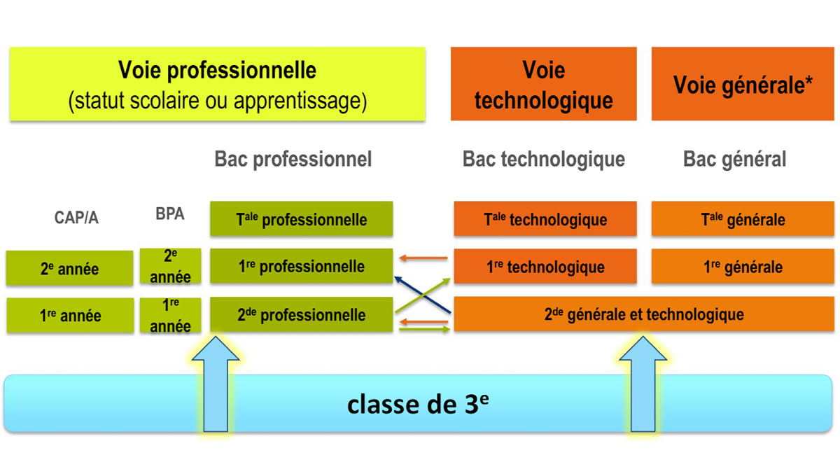 Quelles orientations après la 3ème